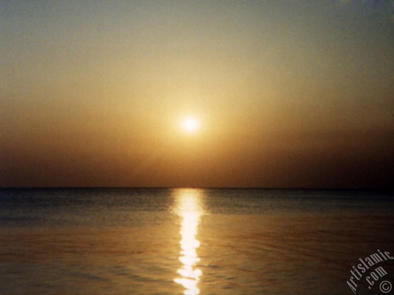 View of sunset and a ship on the horizon from Guzelce shore in Istanbul city of Turkey.
