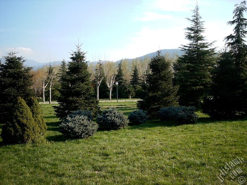 View of Botanical Park in Bursa city of Turkey.
