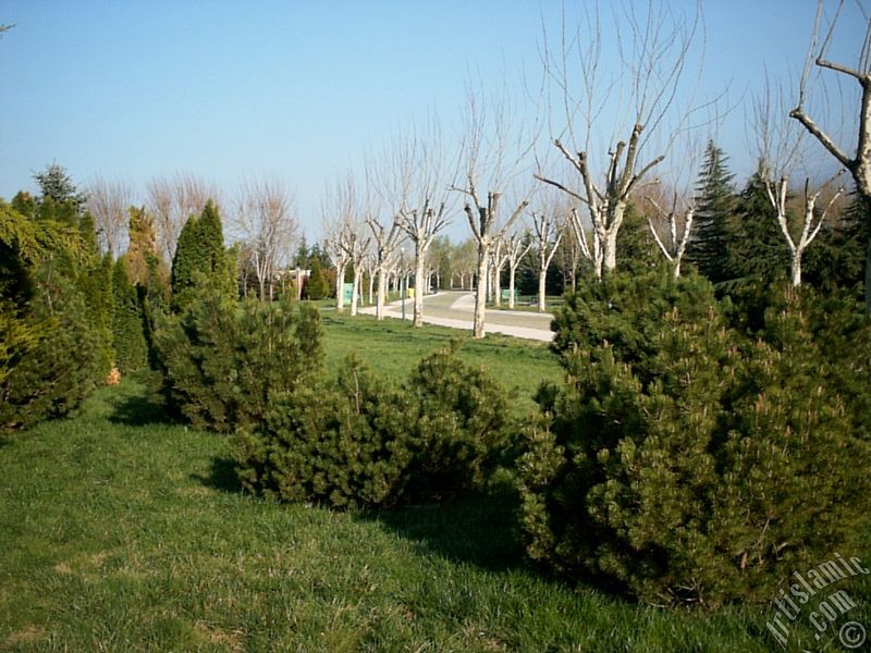 View of Botanical Park in Bursa city of Turkey.
