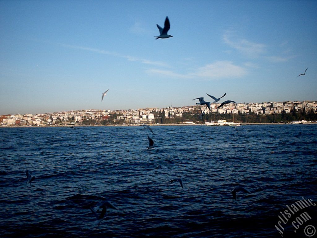 View of Uskudar-Harem coast from the Bosphorus in Istanbul city of Turkey.
