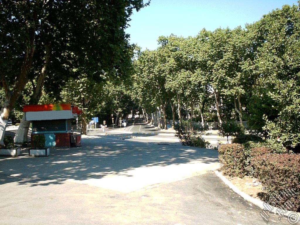 View towards Besiktas district from Dolmabahce district in Istanbul city of Turkey.
