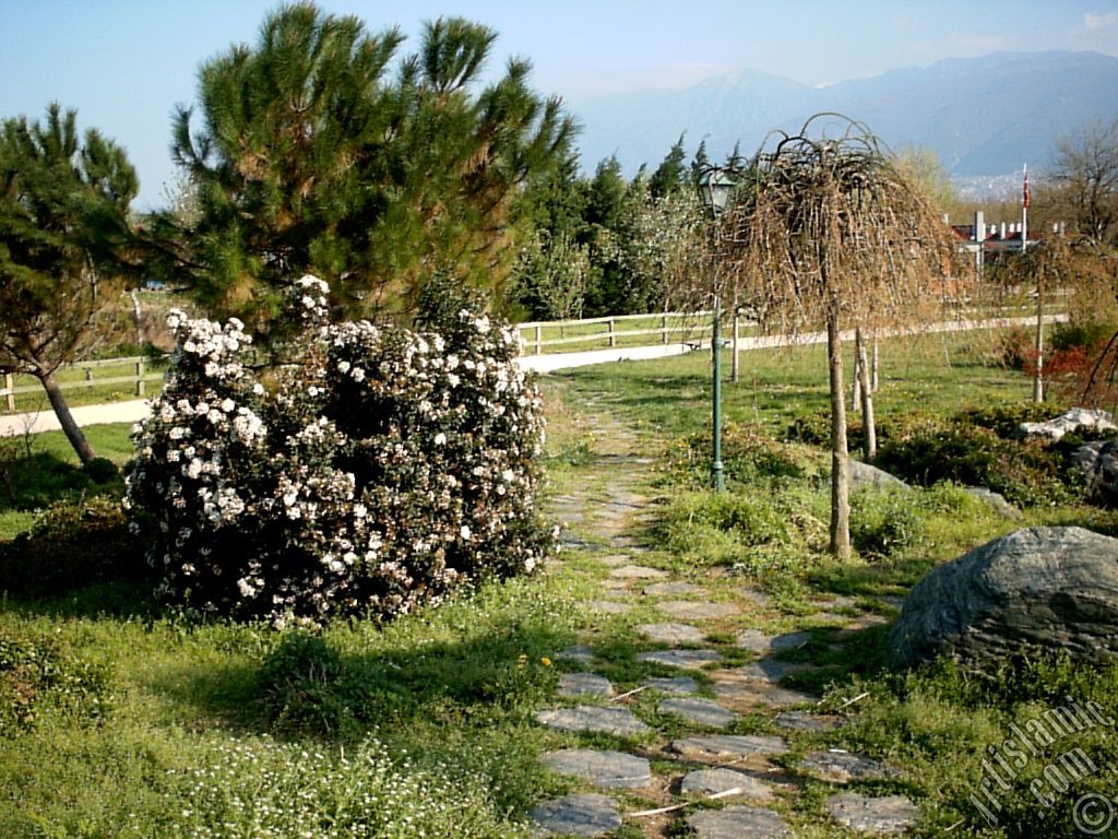 View of Botanical Park in Bursa city of Turkey.
