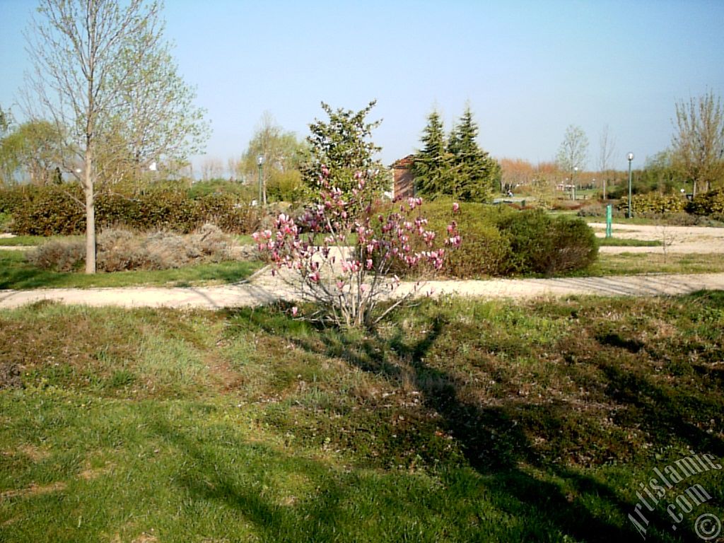 View of Botanical Park in Bursa city of Turkey.
